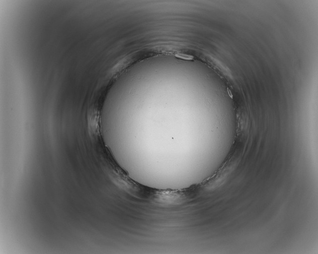X0000115590141200911171037
