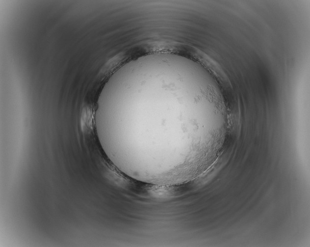 X0000115590142200911171037