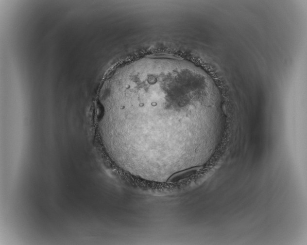 X0000115590144200911171037