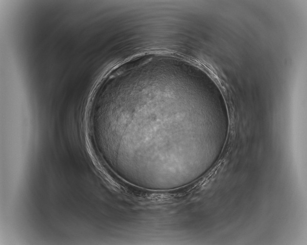 X0000115590145200911171036