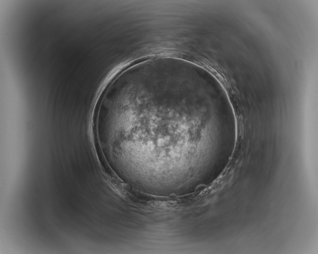 X0000115590147200911171036