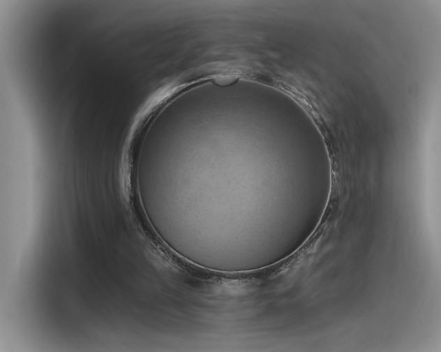 X0000115590149200911171036