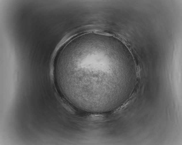 X0000115590150200911171036