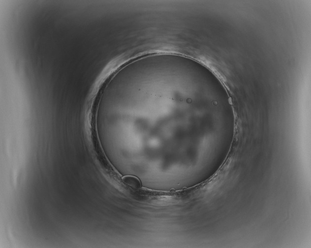 X0000115590151200911171036