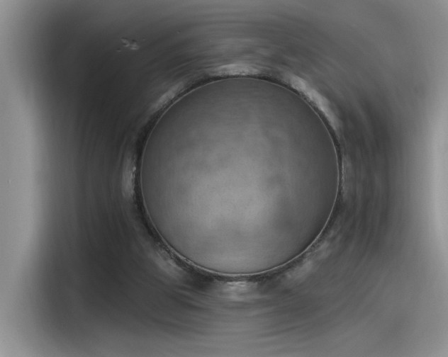 X0000115590153200911171036