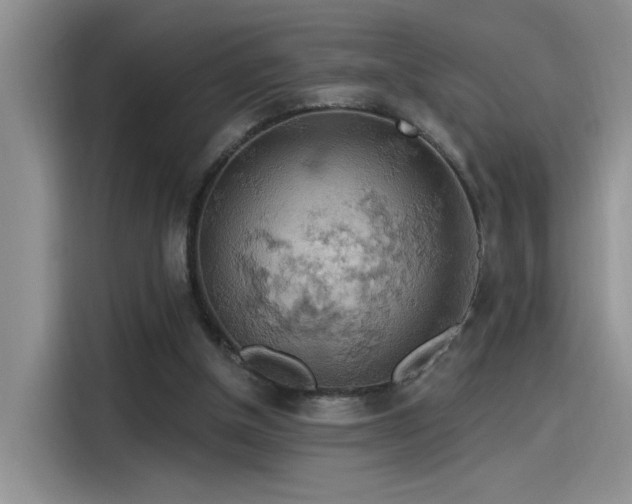 X0000115590154200911171037