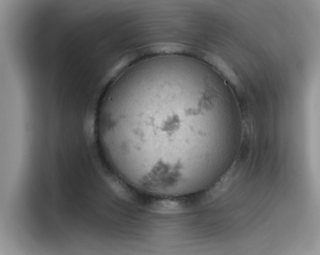 X0000115590159200911171037