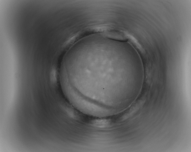 X0000115590161200911171037