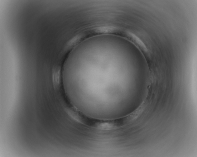 X0000115590163200911171037