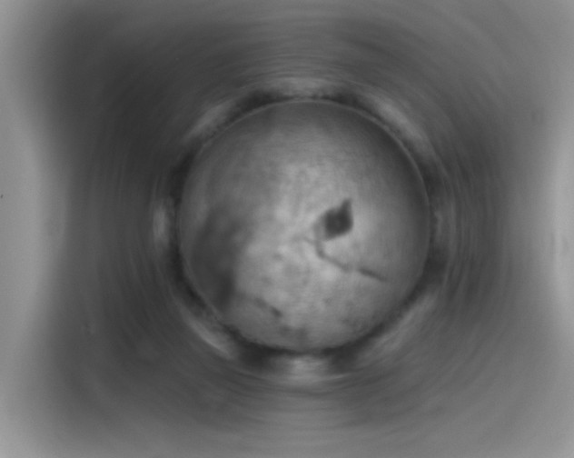 X0000115590165200911171037