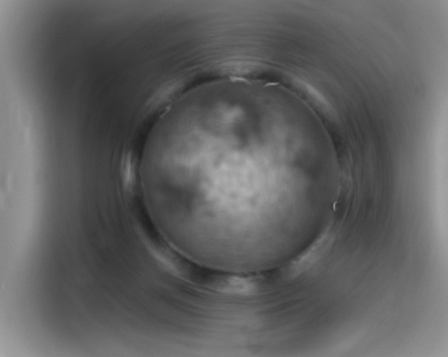 X0000115590166200911171037