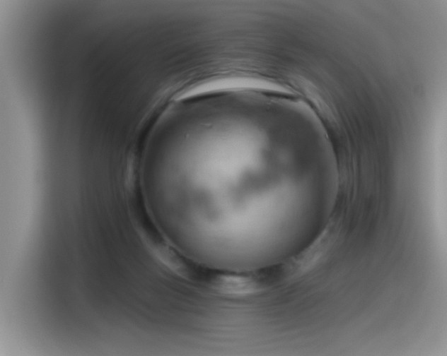 X0000115590167200911171037