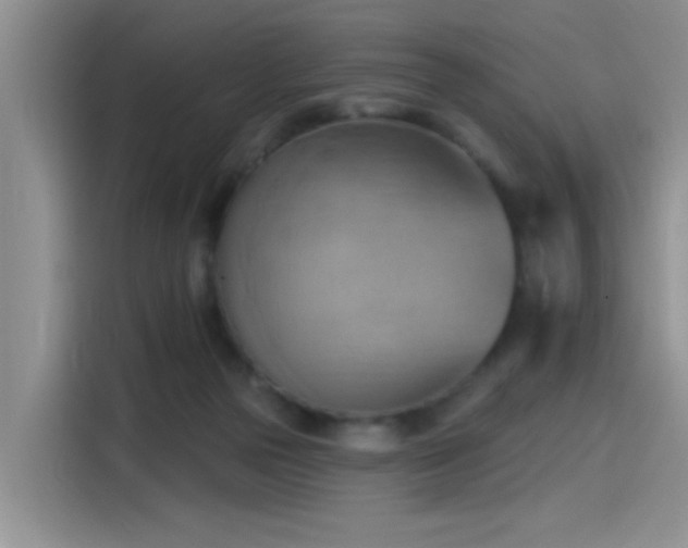 X0000115590169200911171037