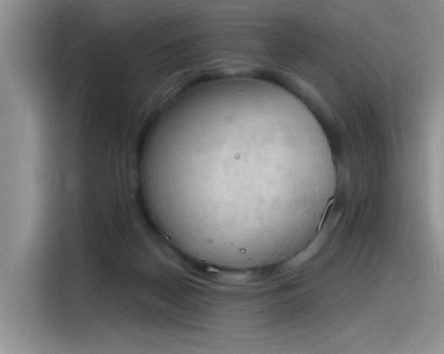X0000115590170200911171037