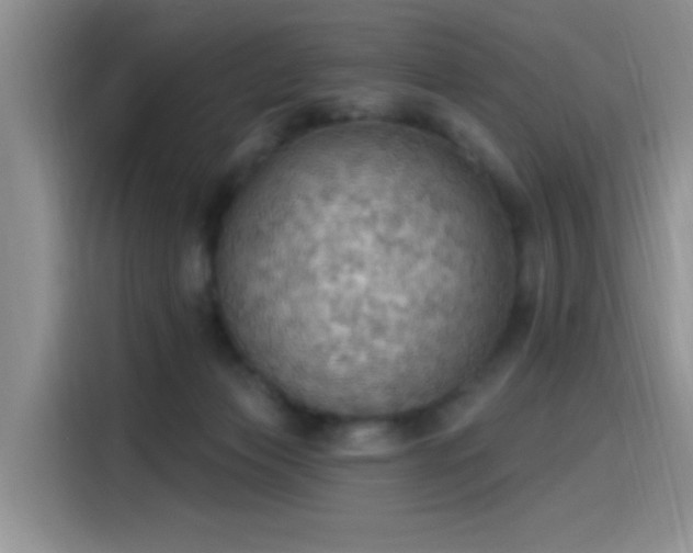 X0000115590173200911171037