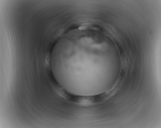 X0000115590175200911171037