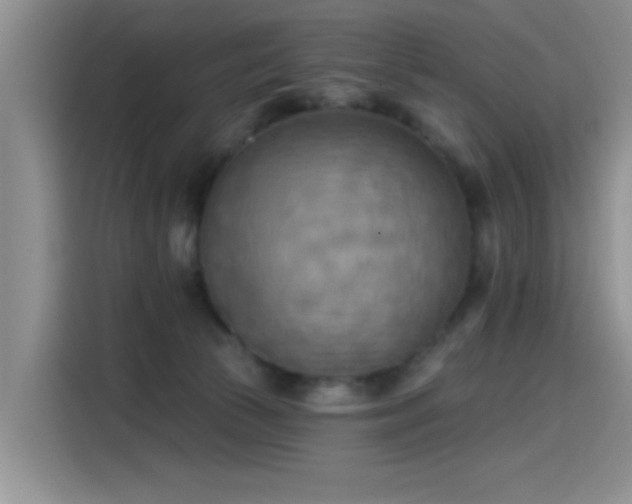 X0000115590177200911171037