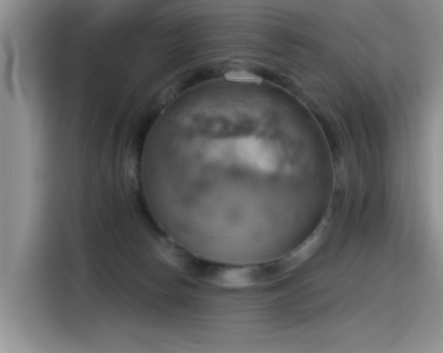 X0000115590178200911171037