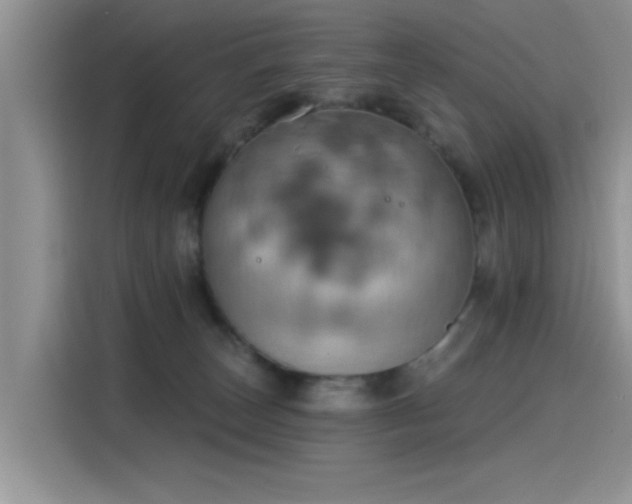 X0000115590179200911171037