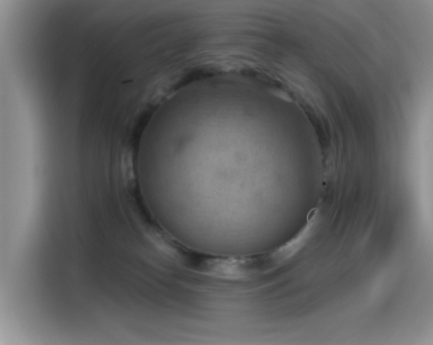 X0000115590182200911171037