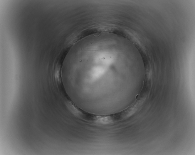 X0000115590185200911171037