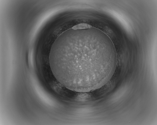 X0000115590189200911171037