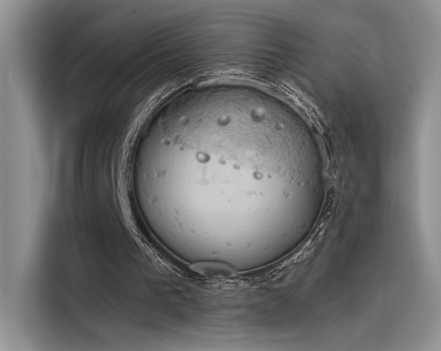 X0000115590193200911171036