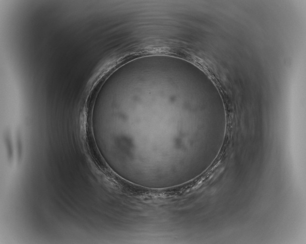 X0000115590194200911171036