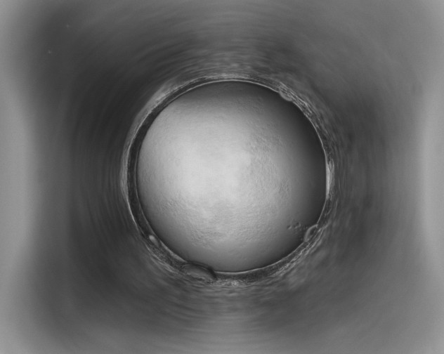 X0000115590195200911171036