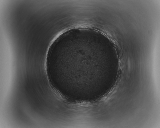 X0000115590196200911171036