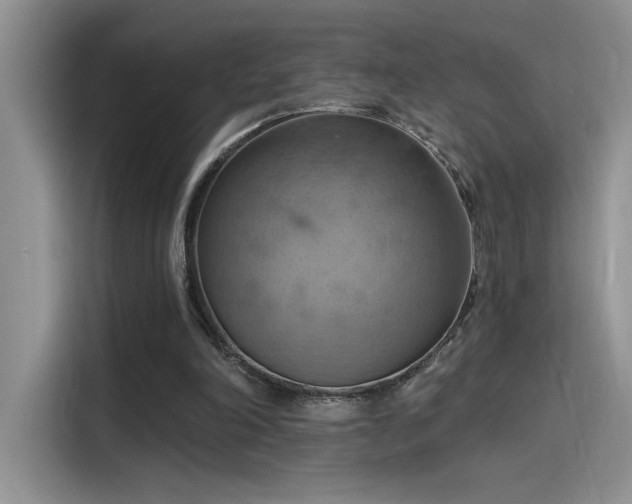 X0000115590198200911171036