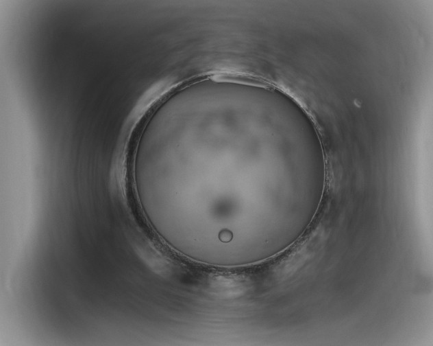 X0000115590199200911171036