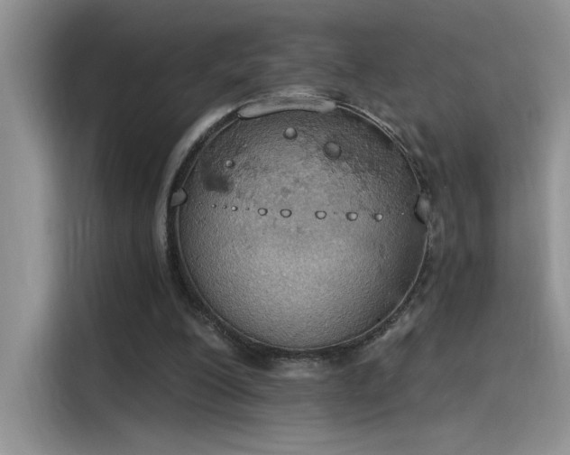 X0000115590200200911171036