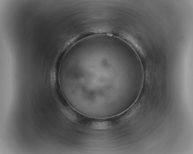 X0000115590202200911171036