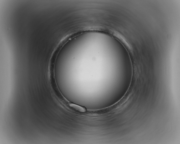 X0000115590203200911171036