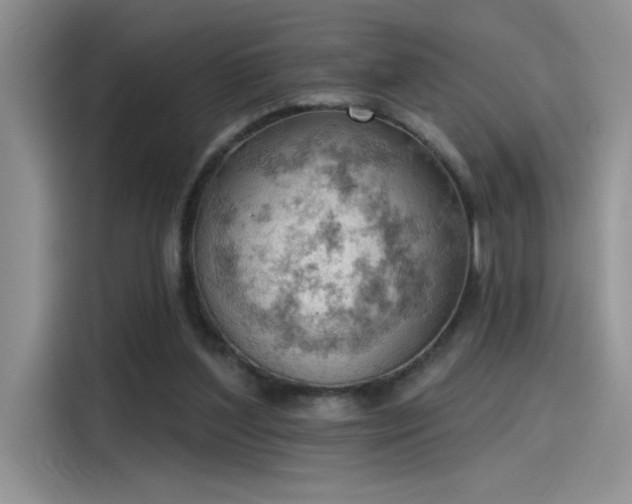 X0000115590204200911171036