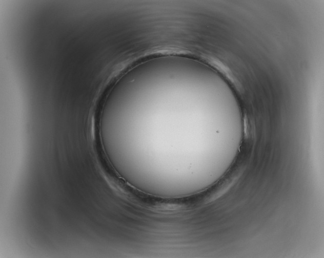 X0000115590205200911171036