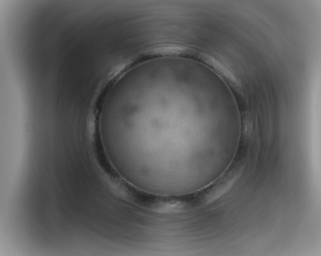 X0000115590206200911171036