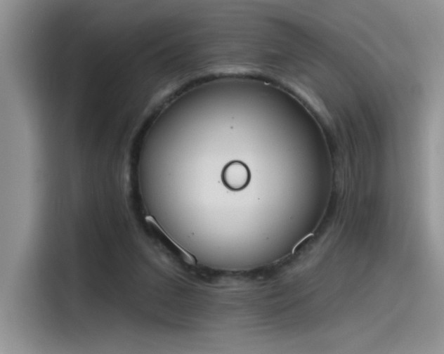X0000115590207200911171036