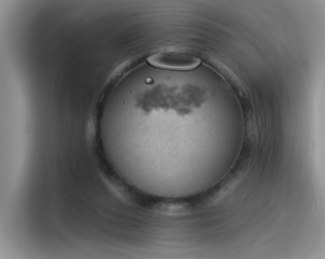 X0000115590208200911171036