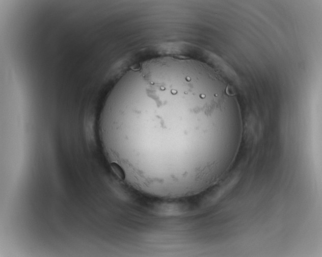X0000115590209200911171036