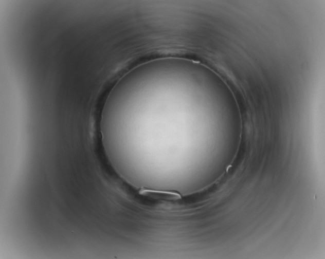 X0000115590211200911171036