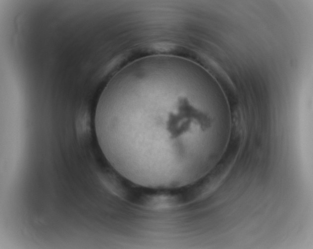 X0000115590212200911171036