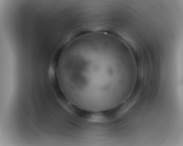 X0000115590214200911171036