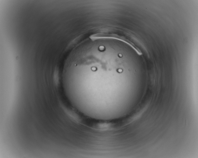 X0000115590216200911171036