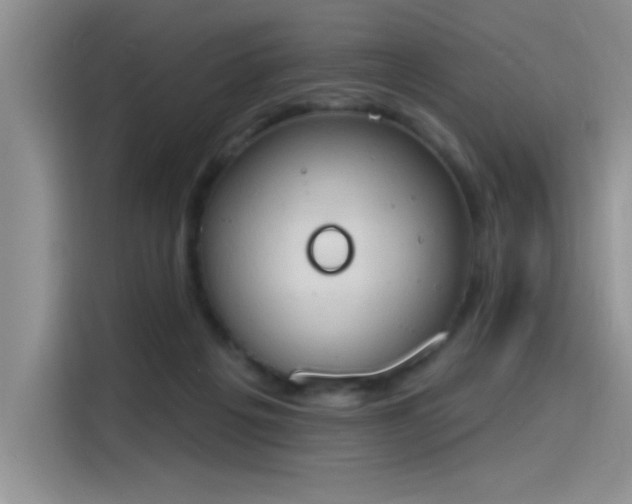 X0000115590217200911171036