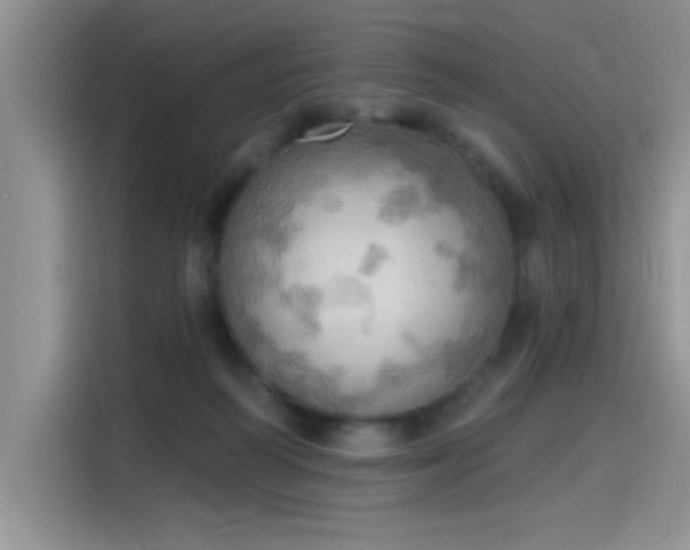 X0000115590218200911171036