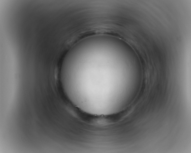 X0000115590219200911171036