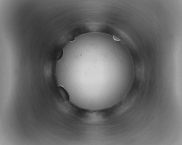 X0000115590221200911171036