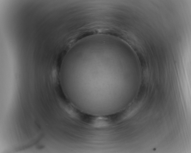 X0000115590222200911171036